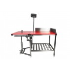 Gyros Stainless Steel Table